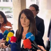 HDZ Bi H Darijana Filipovic Izbori 2026