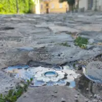 Cvijet srebrenice beograd radio slobodna europa