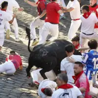 Spanija bik
