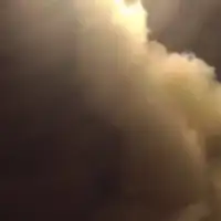 Sad iran rat