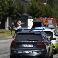 Danska pucnjava