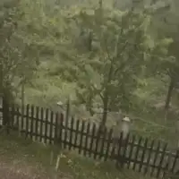 Rogatica nevrijeme