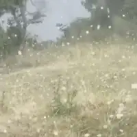 Led prijepolje