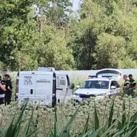 Novi sad tijela auto
