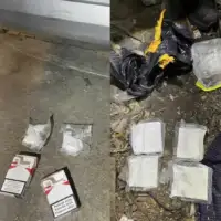 Droga travnik