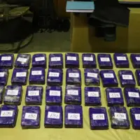 Droga eu zapljena