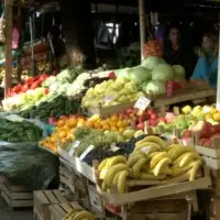 Pijaca boce povrće ftv