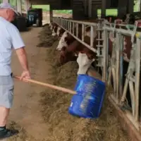 Farma cudic
