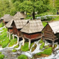 Jajce fena
