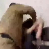 Adam kadirov25920231