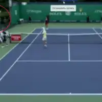 Tenis