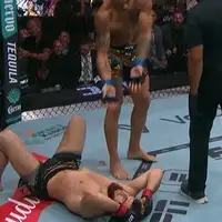 Alex Pereira Magomed Ankalajev
