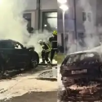 Auto paljevina Pale