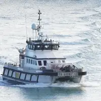 Camci koji prevoze ilegalne imigrante