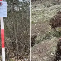 Curine njive oslobodenje