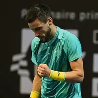 Damir Dzumhur