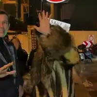 Dua Lipa Callum Turner