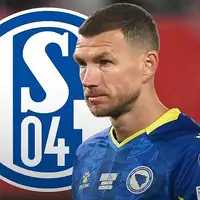 Edin Dzeko Schalke 04