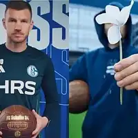 Edin Dzeko Schalke 04