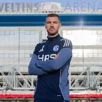 Edin Dzeko Schalke 04