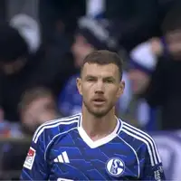 Edin Dzeko Schalke 04