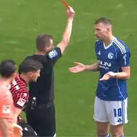 Edin Dzeko Schalke 04