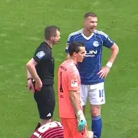 Edin Dzeko Schalke 04