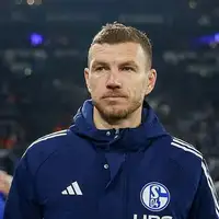 Edin Dzeko Schalke 04