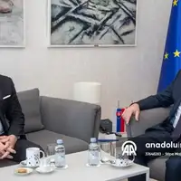 Fico plenkovic
