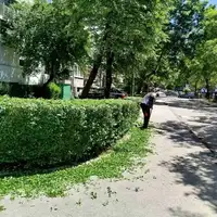 Novo sarajevo zelene povrsine ciscenje