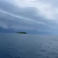 Pijavica Rovinj