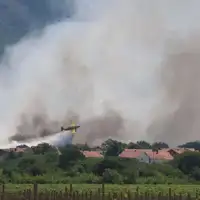 Čapljina požar