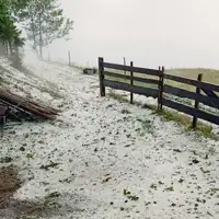 Vlasic nevrijeme