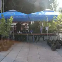 sadnice voce novo sarajevo