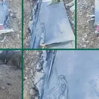 Iran americki avion f15