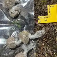 Droga konjic/ mup hnk