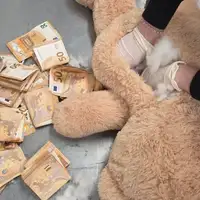 Plišani medvjed novac