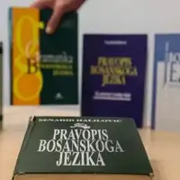 bosanski jezik