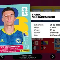 Tarik Muharemovic Panini