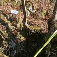 Novi Travnik ekshumacija