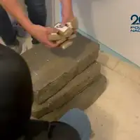 Španija europol hapsenje