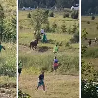 Korida na Igman