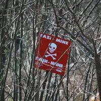 Mine
