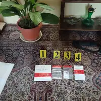 Mip rs pornografija
