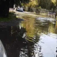 Novi sad