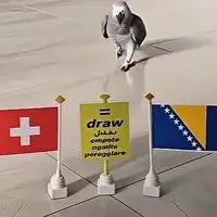 Papagaj birao pobjednika utakmice Bi H Svicarska