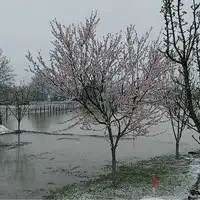 Prijedor poplave 03 2026