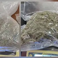 Prijedor Pronadena i oduzeta marihuana