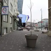 Sarajevo postavljene velike saksije 3