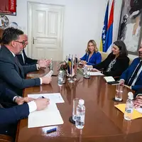 Stasa Kosarac Juzna interkonekcija John Ginkel